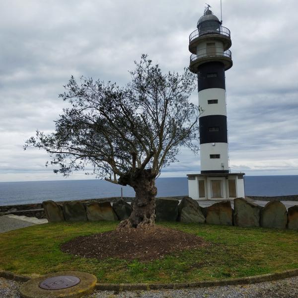 Adecuación ruta marinera PR AS296 Ortiguera