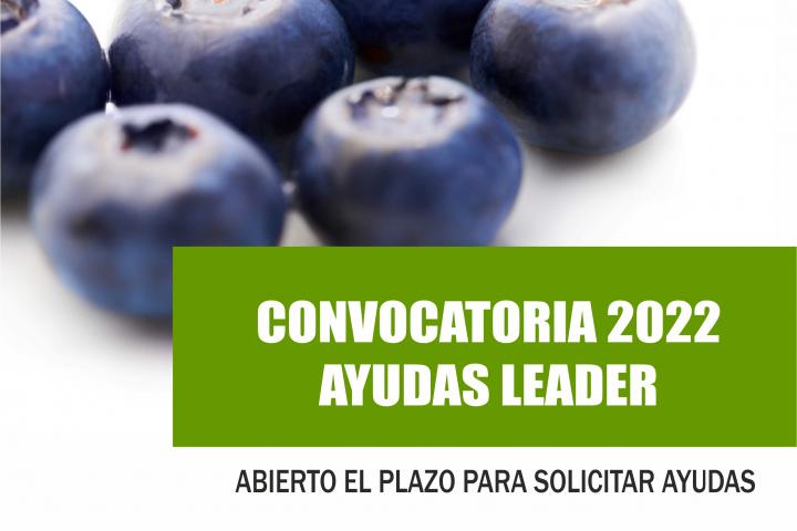 Convocatoria 2022 ayudas LEADER